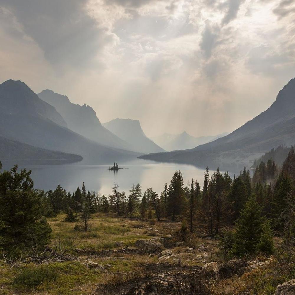 Meet your Posher, Hailey